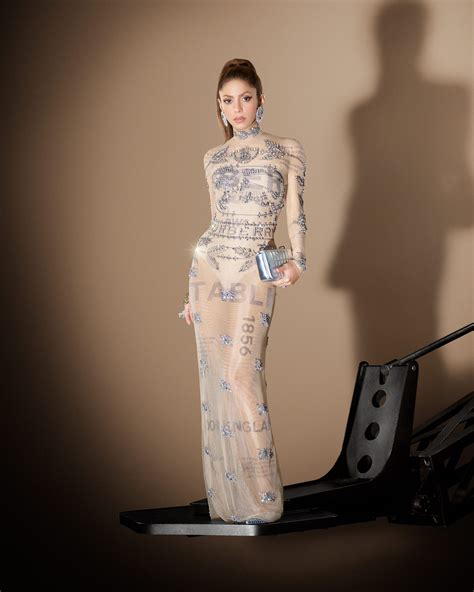 Shakira wearing a sheer gown